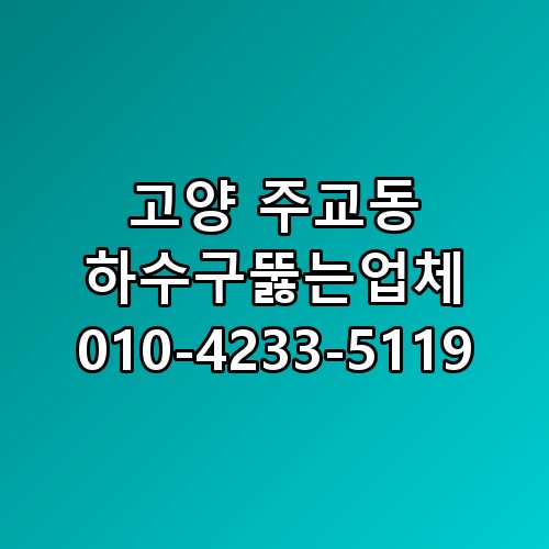 고양 주교동 하수구뚫는업체 010-4233-5119 놓치면 후회할 포인트