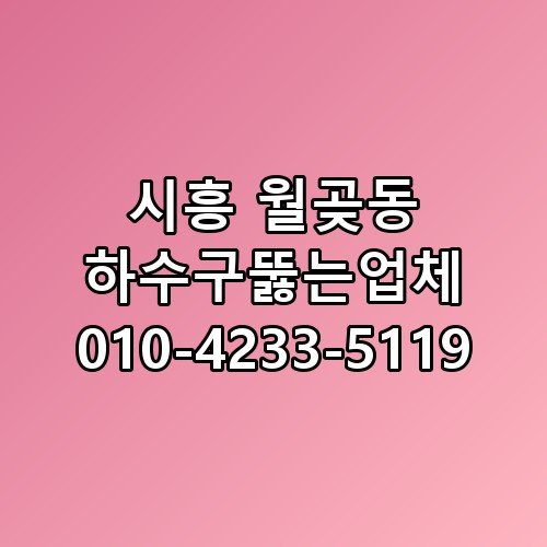 시흥 월곶동 하수구뚫는업체 010-4233-5119 직접 확인해봤어요