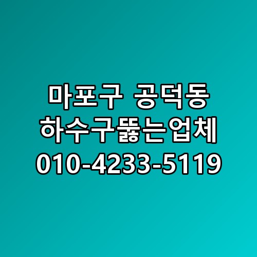 마포구 공덕동 하수구뚫는업체 010-4233-5119 직접 확인해봤어요