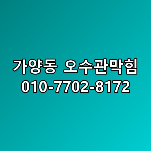 가양동 오수관막힘 010-7702-8172 의외의 포인트가 숨어있었습니다