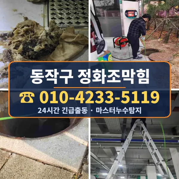 동작구 정화조막힘